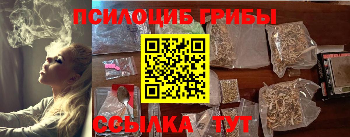 Галлюциногенные грибы MAGIC MUSHROOMS  Вход с VPN  Галлюциногенные грибы Psilocybine cubensis  Нерюнгри 
