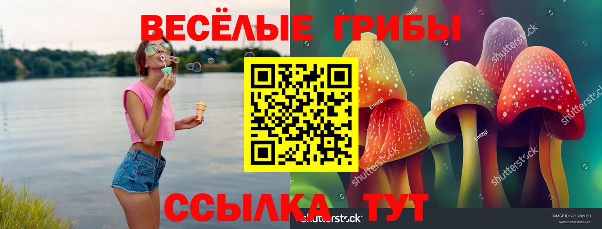 Псилоцибиновые грибы Cubensis Нерюнгри